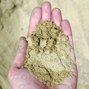 buckeye mason sand