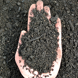 buckeye topsoil products